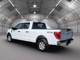 Used 2023 Ford F150 XLT image 5
