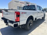 New 2025 Ford F250 XL image 5