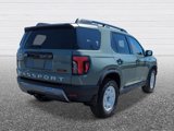 New 2026 Honda Passport TrailSport Elite image 5