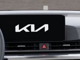 New 2025 Kia Carnival SX Prestige image 2