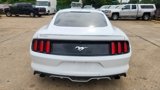 Used 2017 Ford Mustang Premium image 4