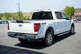 Used 2024 Ford F150 XLT w/ Mobile Office Package image 5