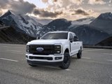 New 2025 Ford F350 Platinum w/ FX4 Off-Road Package image 2