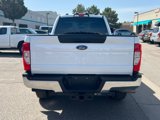 Used 2022 Ford F350 XL w/ STX Appearance Package image 4