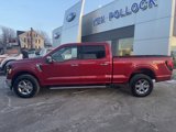 New 2025 Ford F150 XLT w/ Equipment Group 302A MID image 2