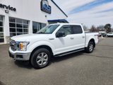 Used 2019 Ford F150 XLT w/ Equipment Group 302A Luxury image 5
