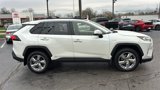 Used 2019 Toyota RAV4 Limited image 3
