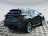 Used 2025 Lexus NX 350 AWD w/ Premium Package image 2