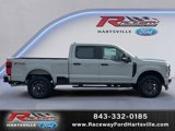New 2025 Ford F250 XL image 5