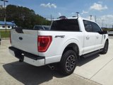 Used 2023 Ford F150 XLT w/ Equipment Group 301A Mid image 5
