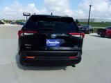 Used 2023 Toyota RAV4 XLE Premium image 4