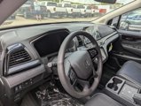 New 2025 Honda Odyssey Elite image 5
