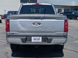 New 2025 Ford F150 XLT w/ Equipment Group 302A MID image 5