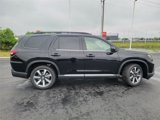New 2025 Honda Pilot Elite image 4
