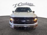 New 2025 Ford F150 XLT w/ Equipment Group 303A High image 2