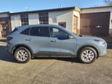 Used 2023 Ford Escape Active image 2