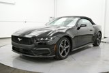 Used 2024 Ford Mustang Convertible image 3