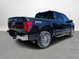 New 2025 Ford F150 XLT w/ Equipment Group 303A High image 3