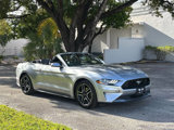 Used 2023 Ford Mustang Premium image 5