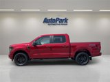 New 2025 Ford F150 STX w/ STX Black Appearance Package image 4