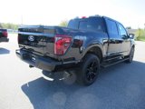 New 2025 Ford F150 Platinum image 5