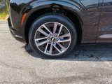 New 2026 Cadillac Vistiq Sport image 6