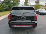 New 2025 Hyundai Palisade Calligraphy image 5