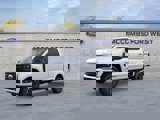 New 2025 Ford F250 Platinum w/ Tremor Off-Road Package image 4