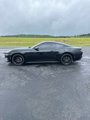 New 2025 Ford Mustang Coupe image 2