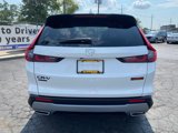New 2026 Honda CR-V TrailSport image 3