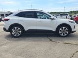 Used 2025 Ford Escape Platinum w/ Premium Technology Package image 6