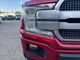 Used 2019 Ford F150 Platinum w/ Equipment Group 701A Luxury image 5