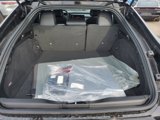 New 2025 Dodge Charger R/T w/ Quick Order Package 25M R/T image 5