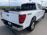 Certified 2024 Ford F150 XLT image 5