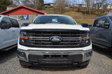 New 2025 Ford F150 XLT w/ Equipment Group 301A Standard image 2
