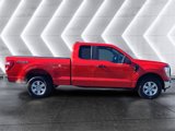 Used 2022 Ford F150 XL w/ Equipment Group 101A High image 6