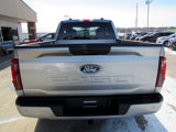 New 2025 Ford F150 STX w/ Equipment Group 200A image 6