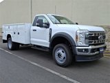 New 2025 Ford F450 XL w/ XL Chrome Package image 2