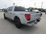 New 2025 Ford F150 STX w/ STX Black Appearance Package image 4