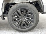 New 2025 Ford F150 XLT image 5