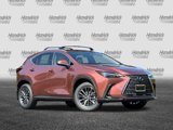 New 2026 Lexus NX 350 AWD w/ Premium Package image 2