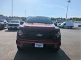 New 2025 Ford F150 XLT w/ Equipment Group 303A High image 3