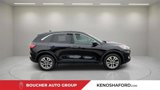 Certified 2022 Ford Escape SEL image 5