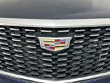 Used 2022 Cadillac XT5 Premium Luxury image 6