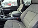 New 2025 Ford F150 XLT w/ Equipment Group 302A MID image 4