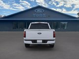 New 2025 Ford F150 XLT w/ Equipment Group 302A MID image 5