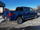 New 2025 Ford F150 XLT w/ Equipment Group 302A MID image 3
