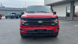 New 2025 Ford F150 XLT w/ Equipment Group 302A MID image 2