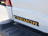 New 2025 Ford F150 Tremor image 5