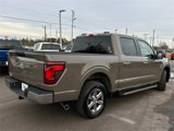 New 2025 Ford F150 XLT w/ Equipment Group 301A Standard image 4